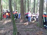 Maibaum_2016 (48).JPG